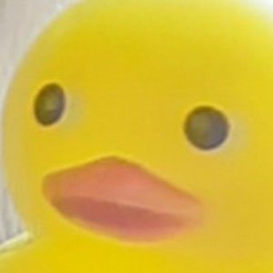 Meet your Posher, Destiny